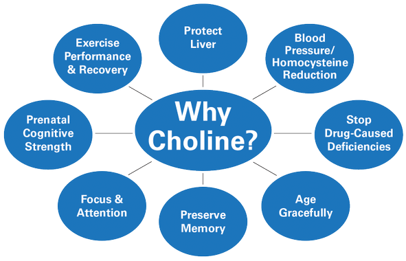 Why choline