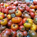 Heirloom_tomatoes