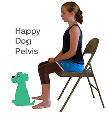 happy-dog-pelvis