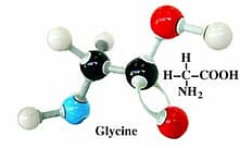 glycine-formule