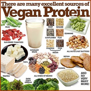 Vegan-protein-foods